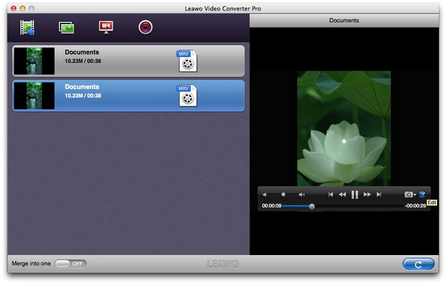 Leawo Video Converter Pro for Mac