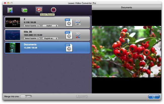 Leawo Video Converter Pro for Mac